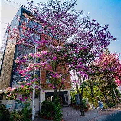 SM Electronic Technologies